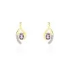 Histoire D'Or Boucles D'oreilles Sagesse Or Jaune Amethyste Oxyde